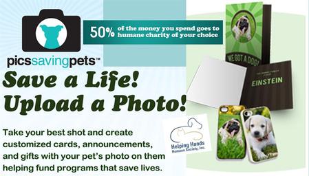 pics saving pets
