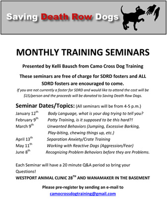 Training Seminars