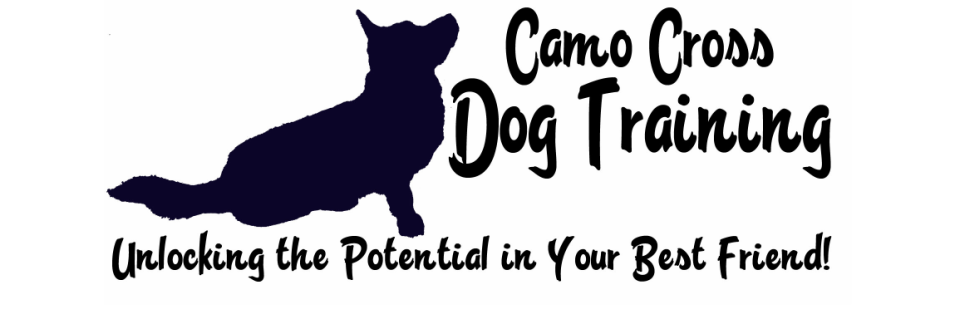 Camo Cross Dog Training - Home